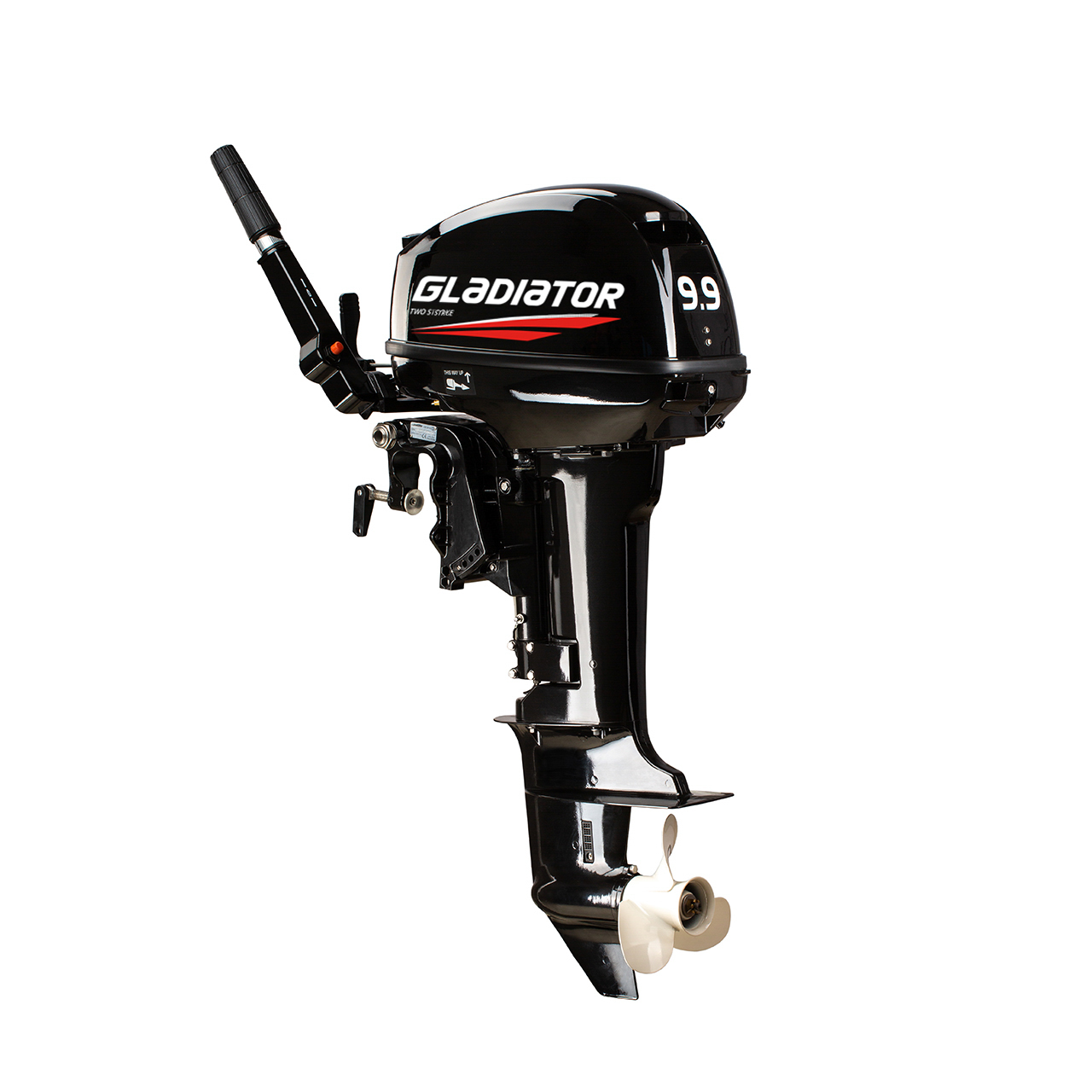 ЛОДОЧНЫЙ МОТОР GLADIATOR G9.9FHS в Тобольске