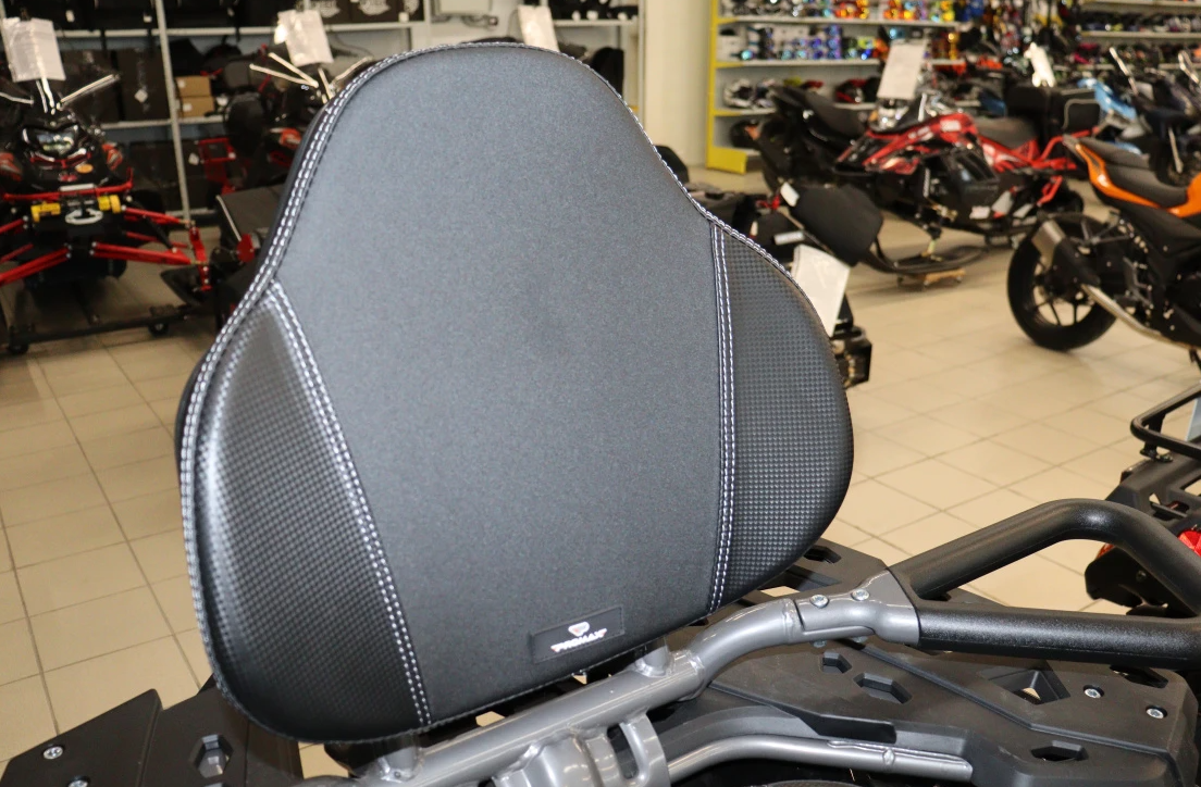 Квадроцикл PROMAX RENEGADE 300 LONG WINCH PRO (2025) в Тобольске