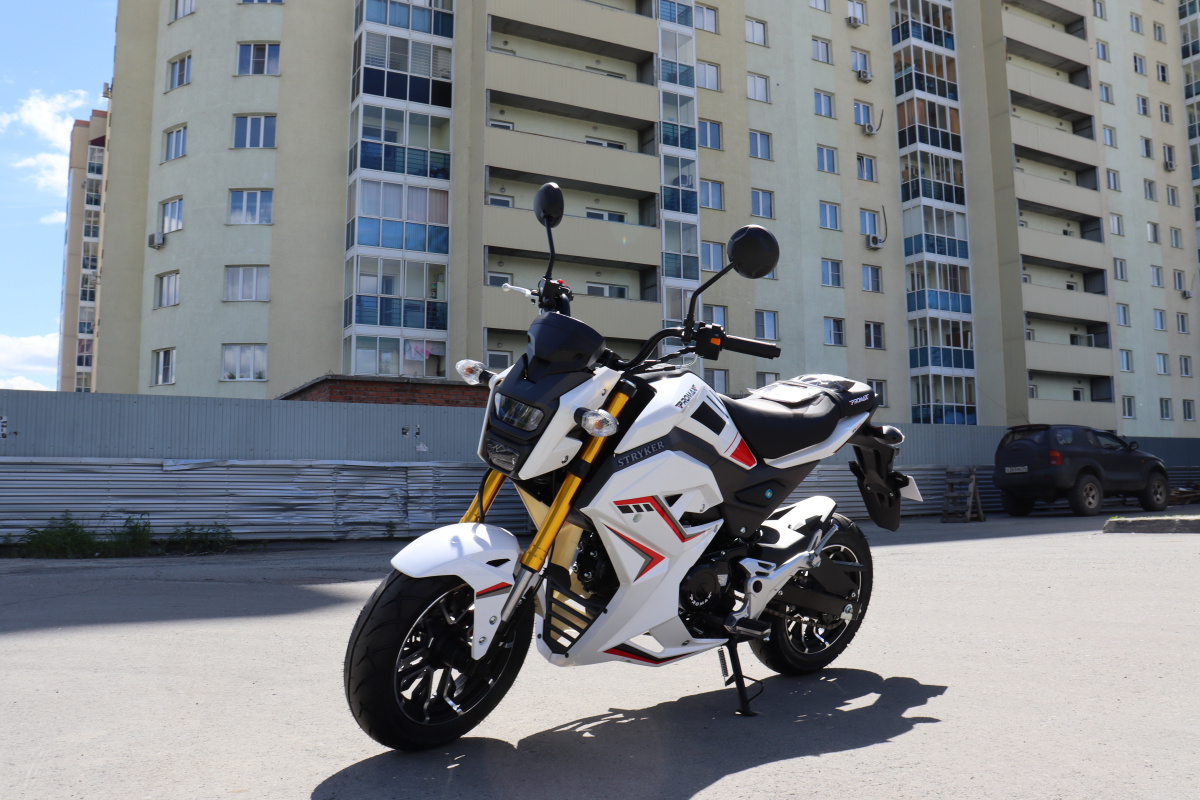 Мотоцикл PROMAX STRYKER 200(49) 2.0 в Тобольске