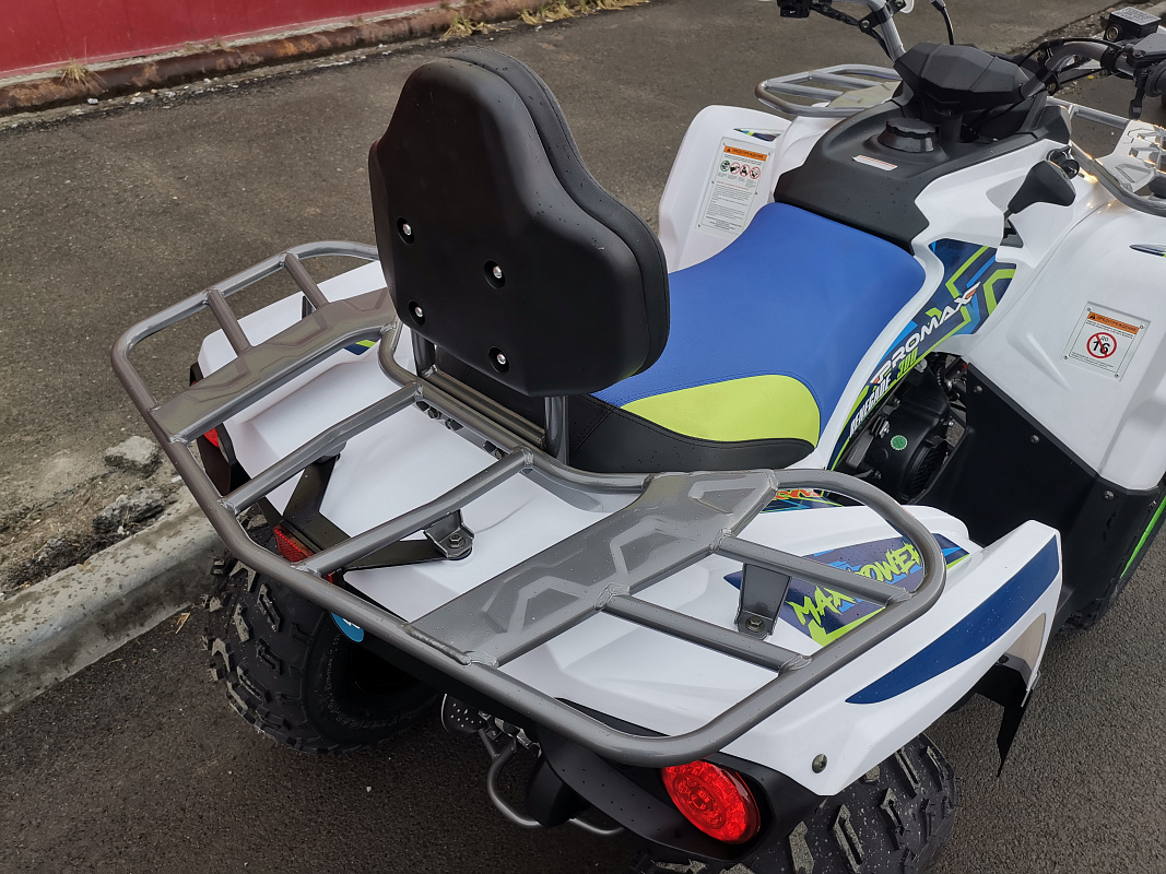 Квадроцикл PROMAX RENEGADE 280 LUX (2025) в Тобольске