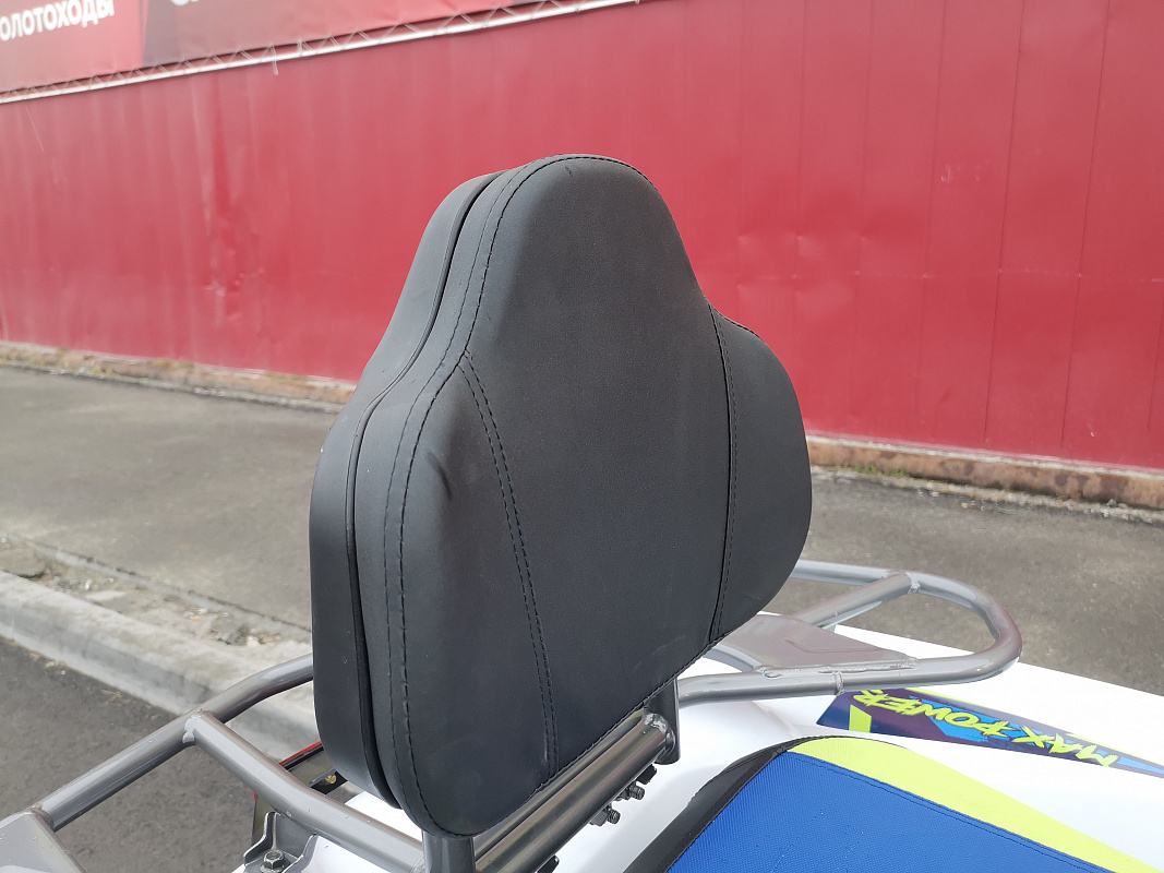 Квадроцикл PROMAX RENEGADE 280 LUX (2025) в Тобольске