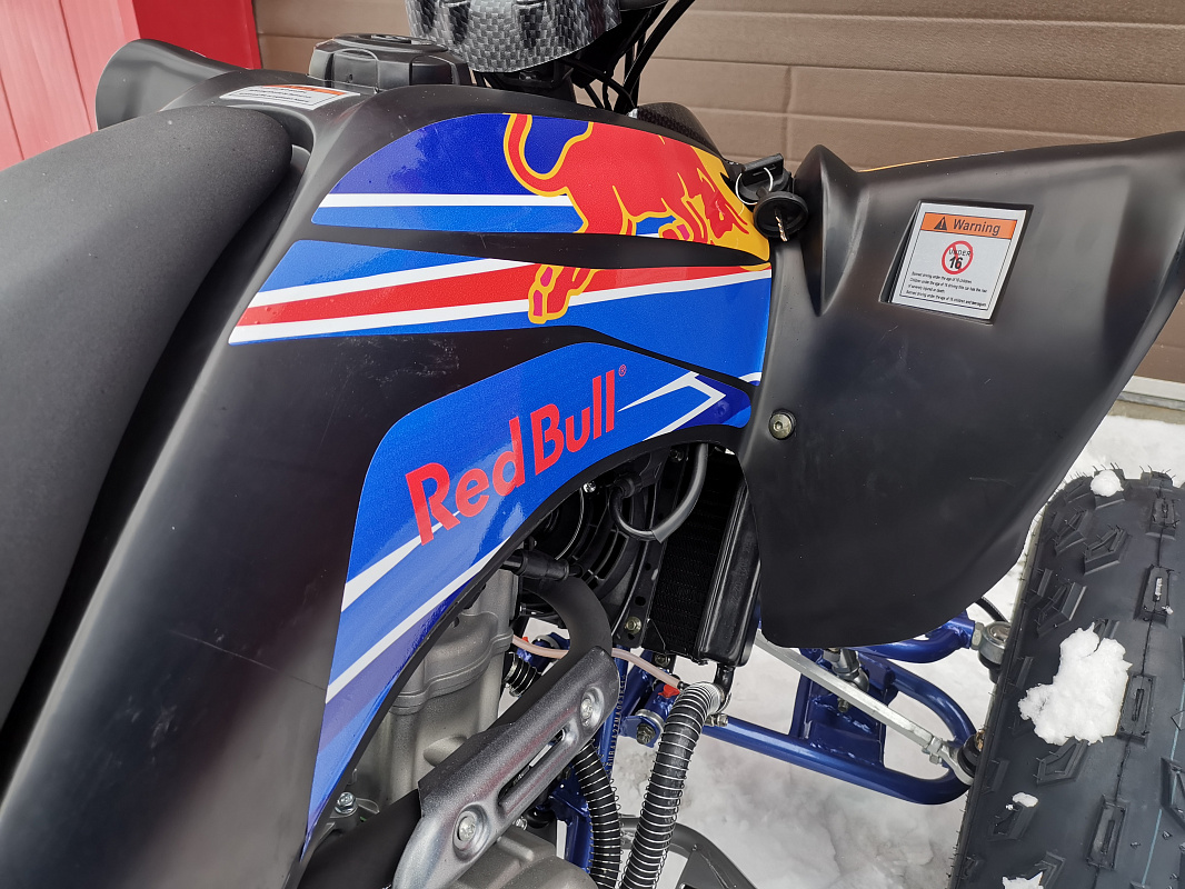 Квадроцикл PROMAX RAPTOR 300 NEW RedBull в Тобольске