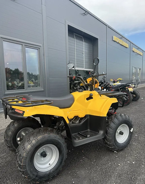 КВАДРОЦИКЛ IRBIS ATV 250  в Тобольске