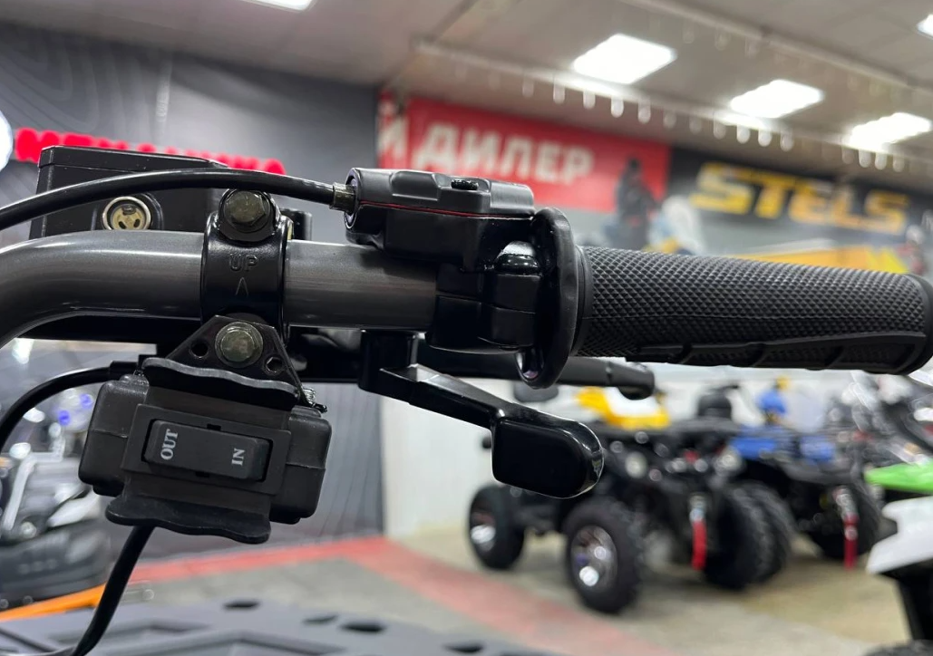 Квадроцикл PROMAX RENEGADE 300 LONG WINCH PRO (2025) в Тобольске