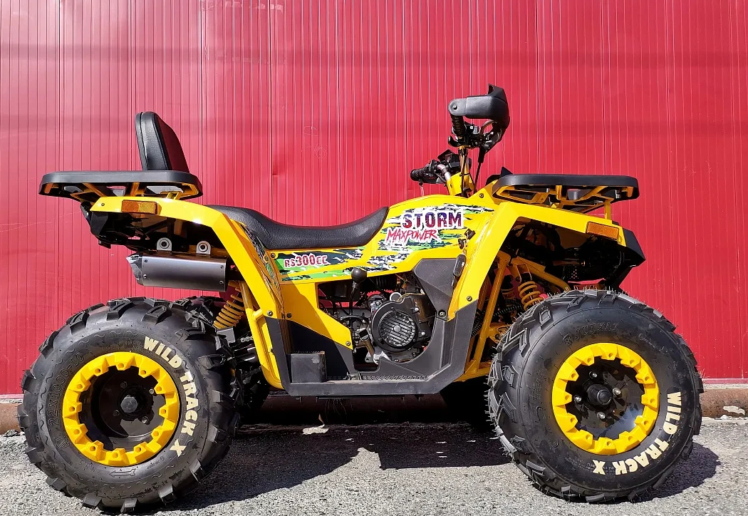 Квадроцикл PROMAX STORM 280 LUX в Тобольске