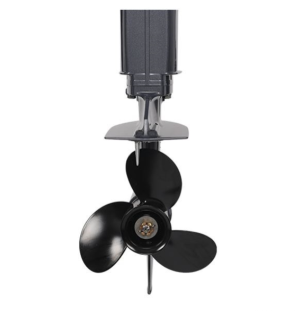 Лодочный мотор ALLFA CG Т40FW S в Тобольске