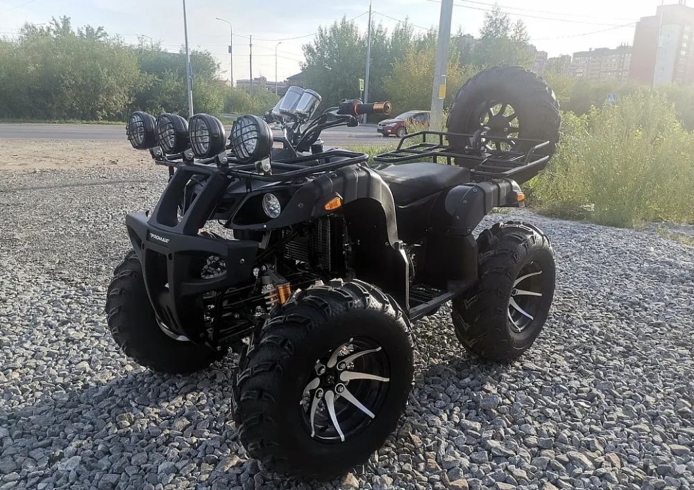 Квадроцикл PROMAX LEO 300 Max (кардан) в Тобольске