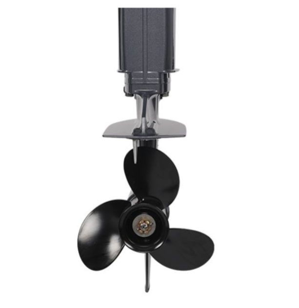 Лодочный мотор ALLFA CG Т40FWT S в Тобольске