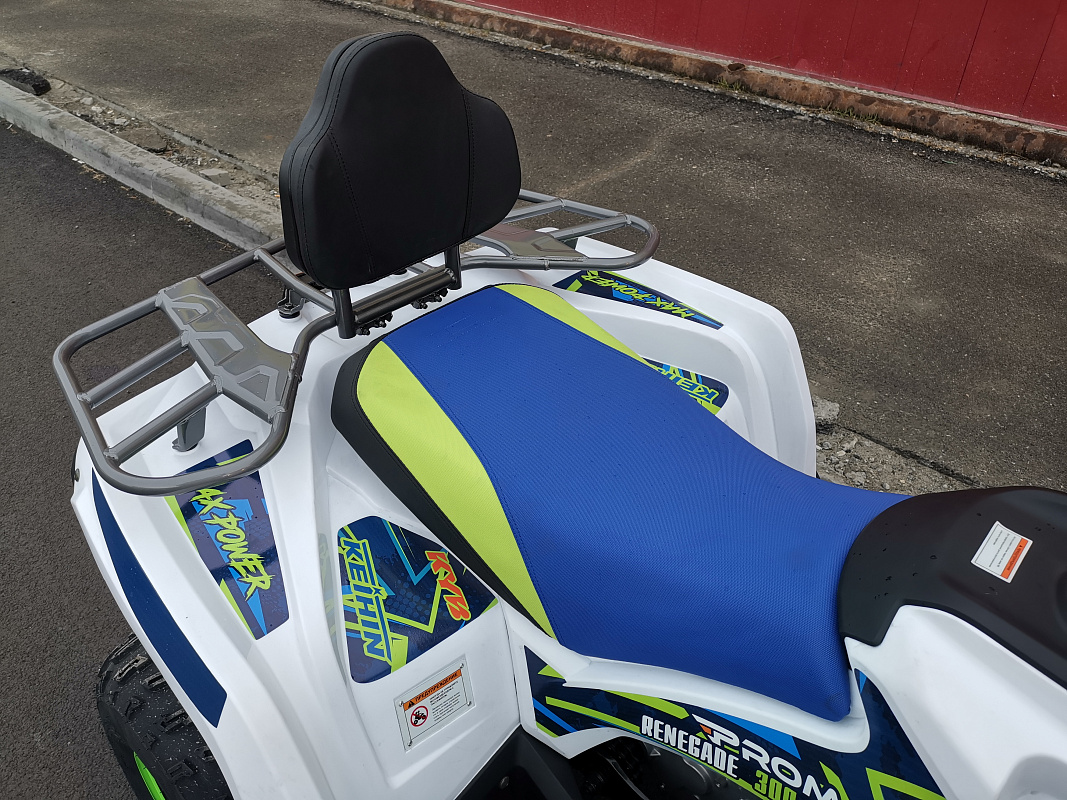 Квадроцикл PROMAX RENEGADE 280 LUX (2025) в Тобольске