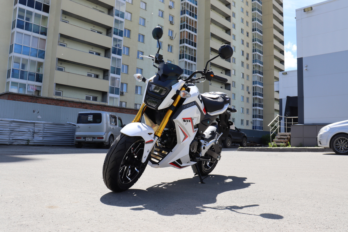 Мотоцикл PROMAX STRYKER 200(49) 2.0 в Тобольске