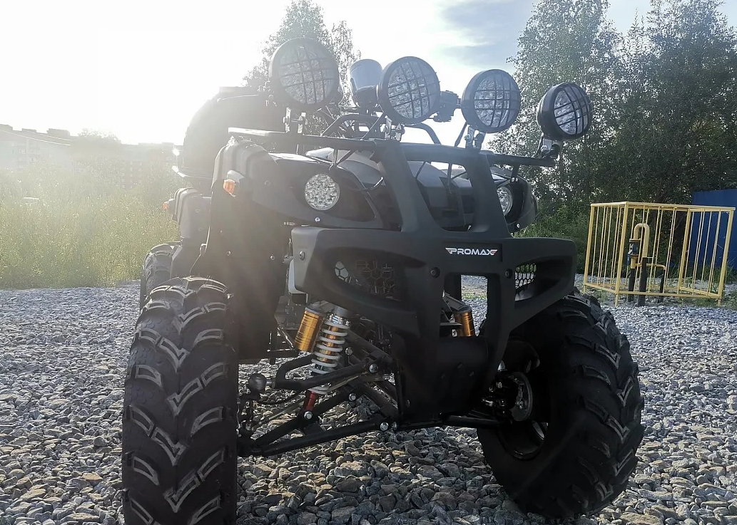 Квадроцикл PROMAX LEO 300 Max (кардан) в Тобольске