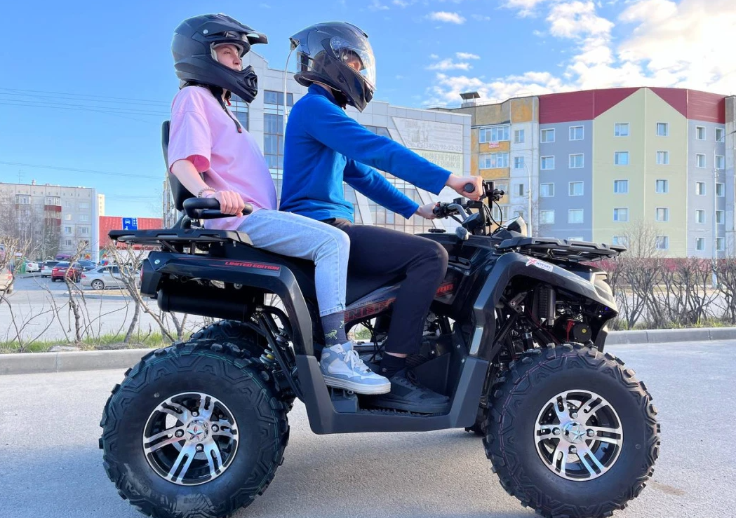 Квадроцикл PROMAX RENEGADE 300 LONG WINCH PRO (2025) в Тобольске