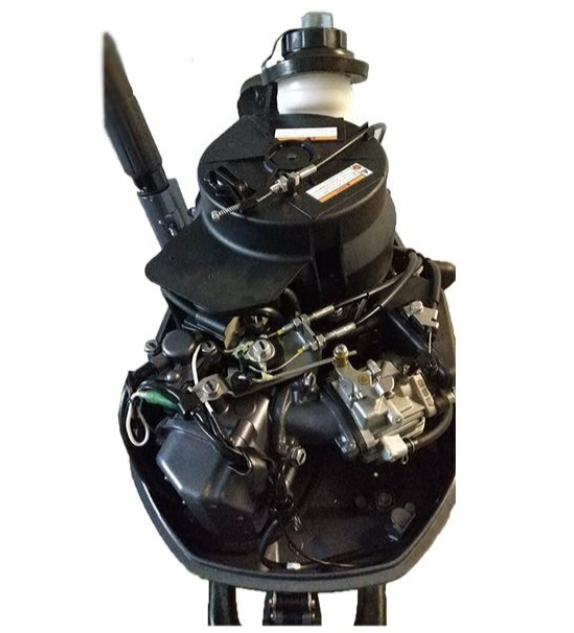 Лодочный мотор ALLFA CG F6 в Тобольске