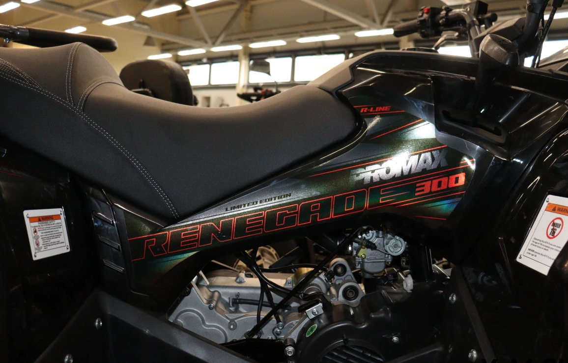 Квадроцикл PROMAX RENEGADE 300 LONG WINCH PRO (2025) в Тобольске