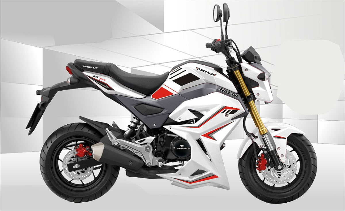 Мотоцикл PROMAX STRYKER 200(49) 2.0 в Тобольске