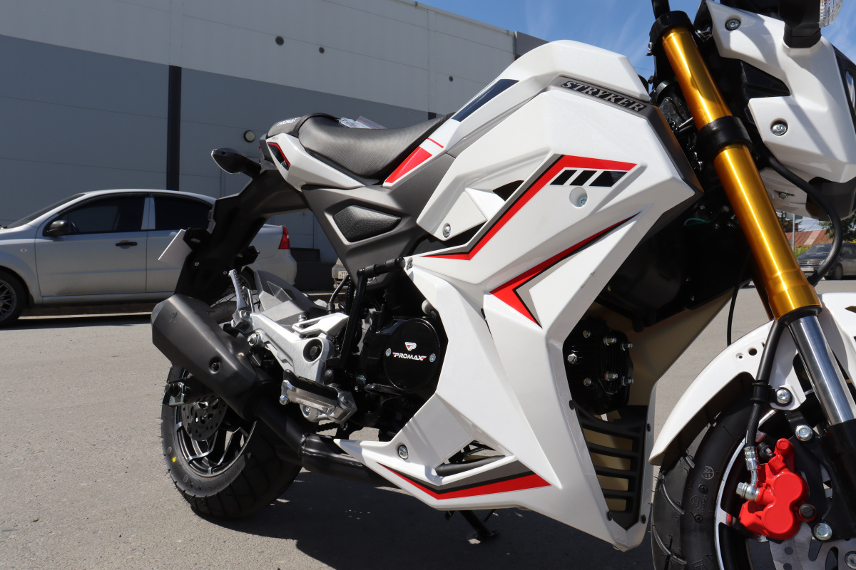 Мотоцикл PROMAX STRYKER 200(49) 2.0 в Тобольске