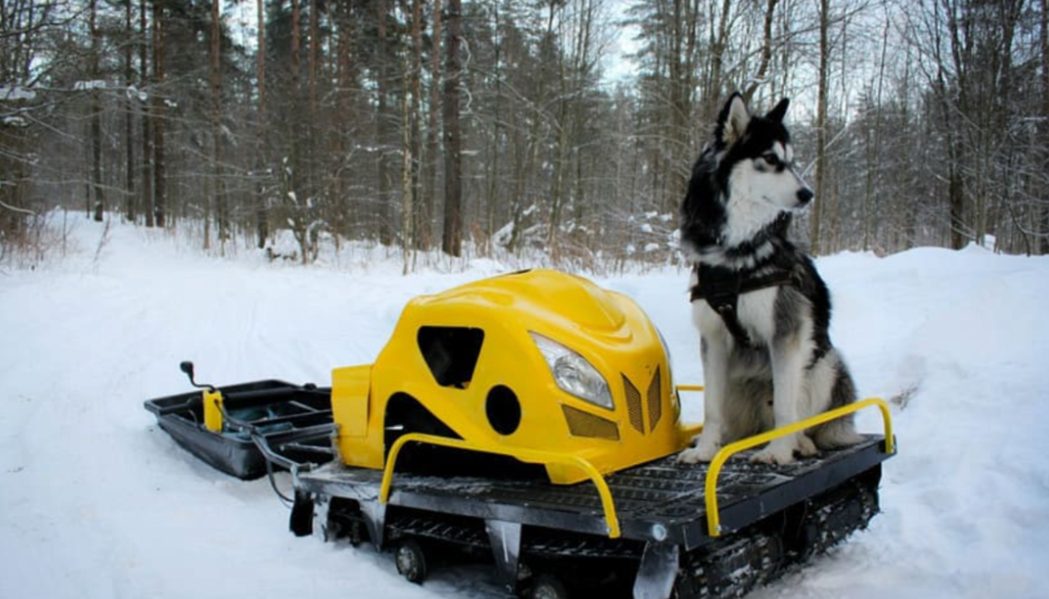 Мотобуксировщик LEBEDEV MOTORS ВОЛКОДАВ POWER V13 в Тобольске