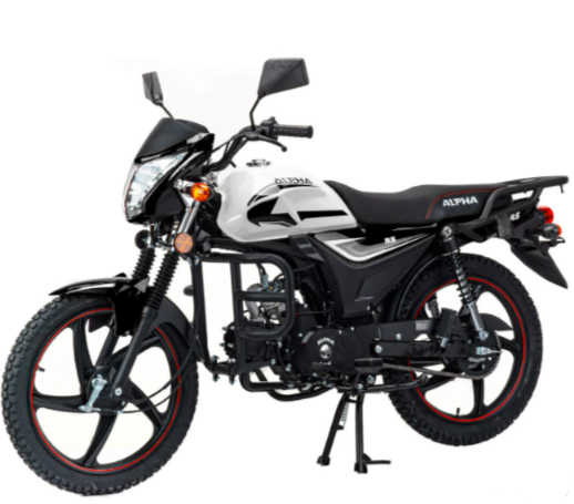 Мопед MOTOLAND (МОТОЛЕНД) Альфа RS 11 (LM48-B) в Тобольске