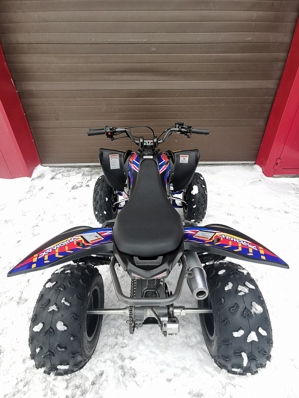 Квадроцикл PROMAX RAPTOR 300 NEW RedBull в Тобольске