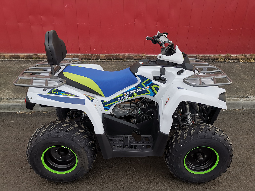 Квадроцикл PROMAX RENEGADE 280 LUX (2025) в Тобольске