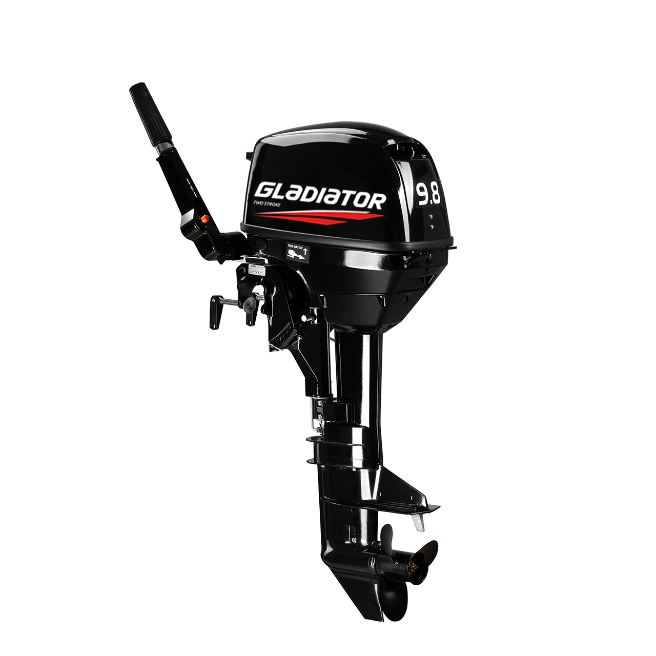 ЛОДОЧНЫЙ МОТОР GLADIATOR G9.8FHS в Тобольске