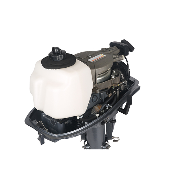 ЛОДОЧНЫЙ МОТОР ALLFA CG T5 в Тобольске