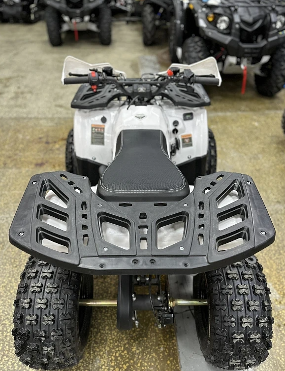 Квадроцикл PROMAX WILD 2.0 190 в Тобольске