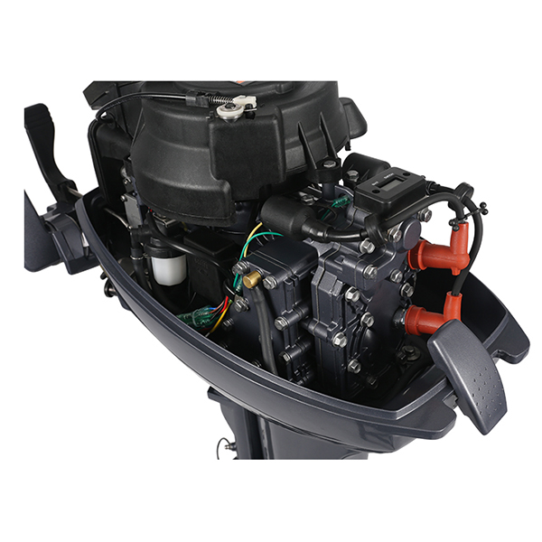 ЛОДОЧНЫЙ МОТОР ALLFA CG Т9,9 в Тобольске