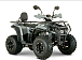 Квадроцикл YACOTA DRAGON LUX LD 150 PRO-SPORT в Тобольске