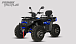 Квадроцикл PROMAX TAURUS 300 MAX-PRO LONG в Тобольске