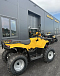 КВАДРОЦИКЛ IRBIS ATV 250  в Тобольске