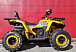 Квадроцикл PROMAX STORM 280 LUX в Тобольске