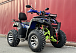 Квадроцикл PROMAX ATV 250 MAX (2025) в Тобольске