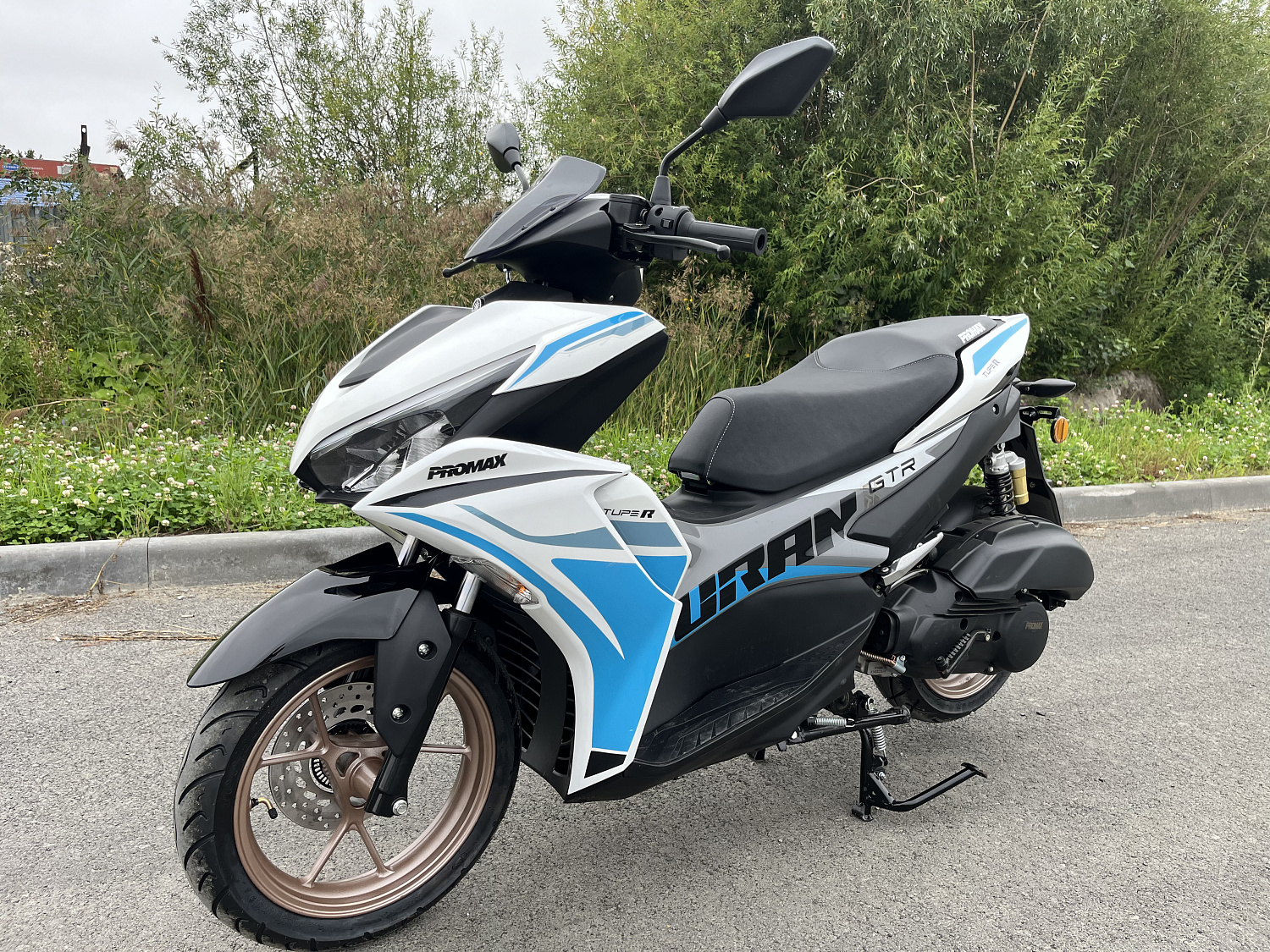 Скутер PROMAX TURAN 250 (49) в Тобольске