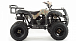 Квадроцикл MOTOLAND (МОТОЛЕНД) 200 ALL ROAD в Тобольске