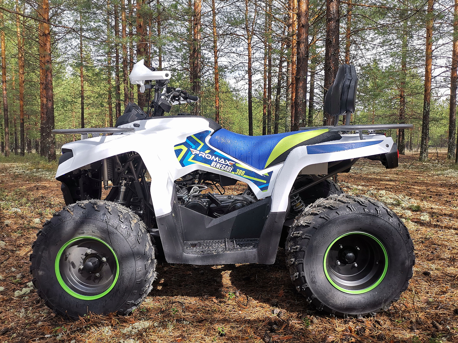 Квадроцикл PROMAX RENEGADE 280 (2025) в Тобольске