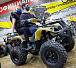Квадроцикл PROMAX ATV 250 (2025) в Тобольске