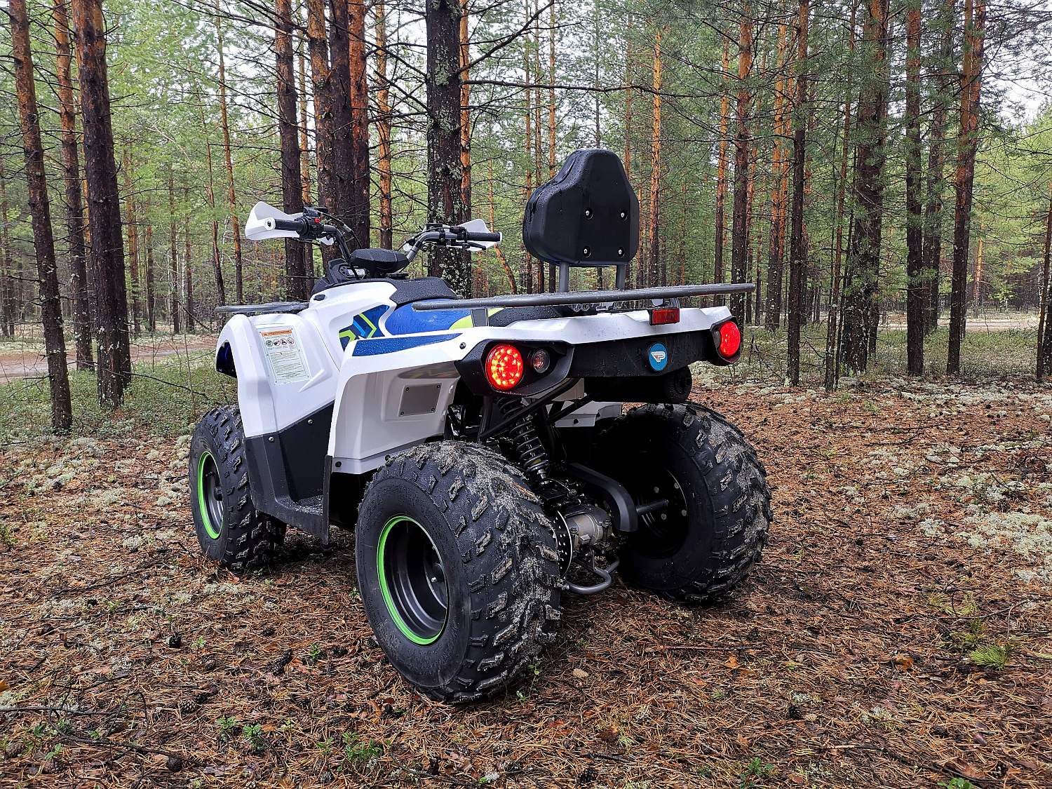 Квадроцикл PROMAX RENEGADE 280 (2025) в Тобольске