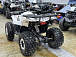 Квадроцикл PROMAX WILD 2.0 190 LUX в Тобольске