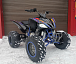 Квадроцикл PROMAX RAPTOR 300 NEW RedBull в Тобольске