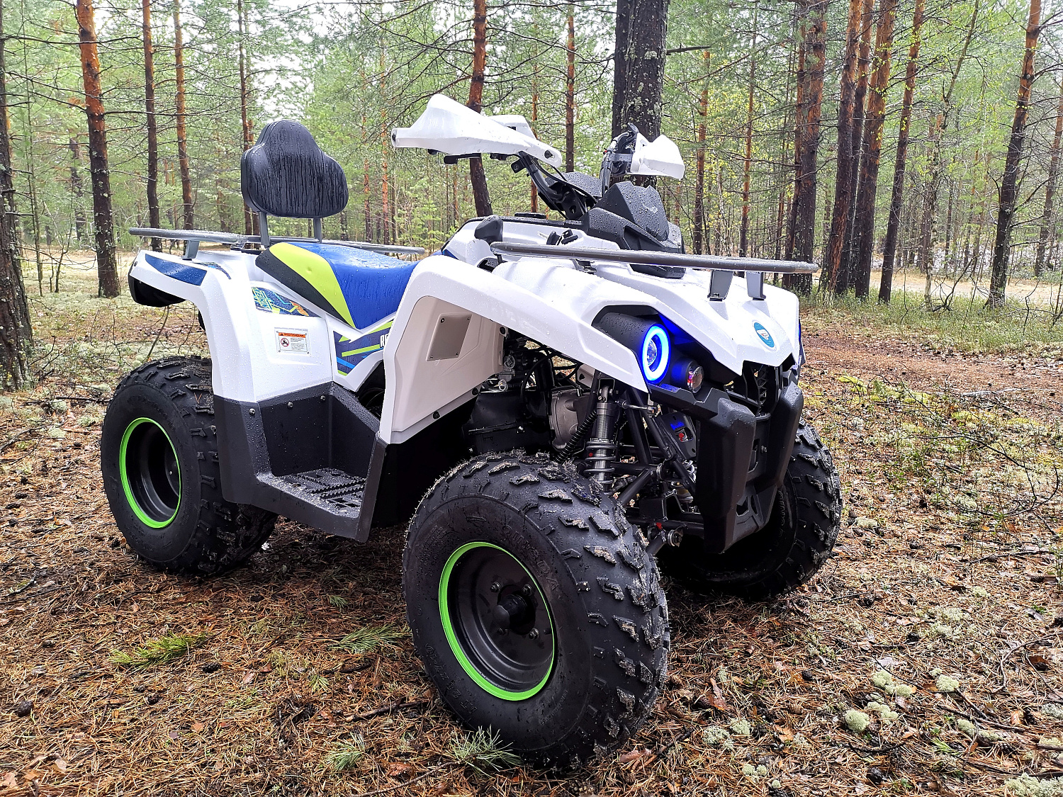 Квадроцикл PROMAX RENEGADE 280 (2025) в Тобольске