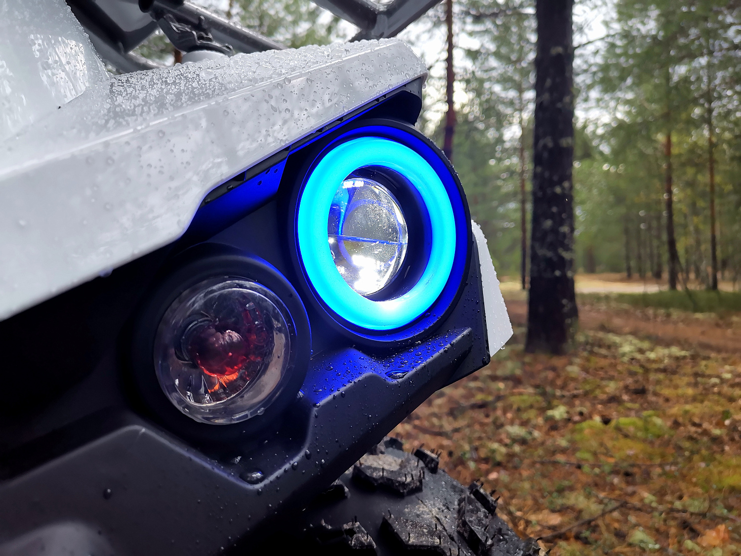 Квадроцикл PROMAX RENEGADE 280 (2025) в Тобольске