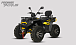 Квадроцикл PROMAX TAURUS 300 MAX-PRO LONG в Тобольске